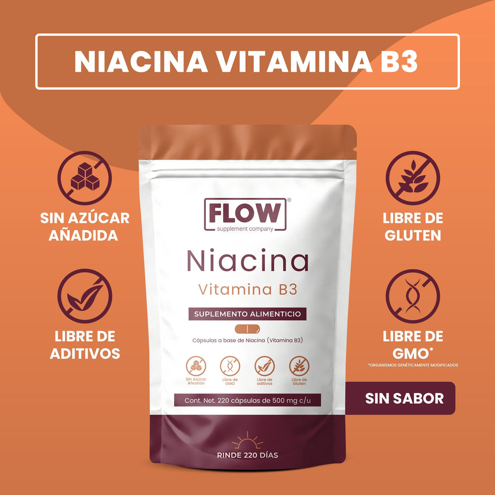 Niacina (Vitamina B3) | 220 cápsulas