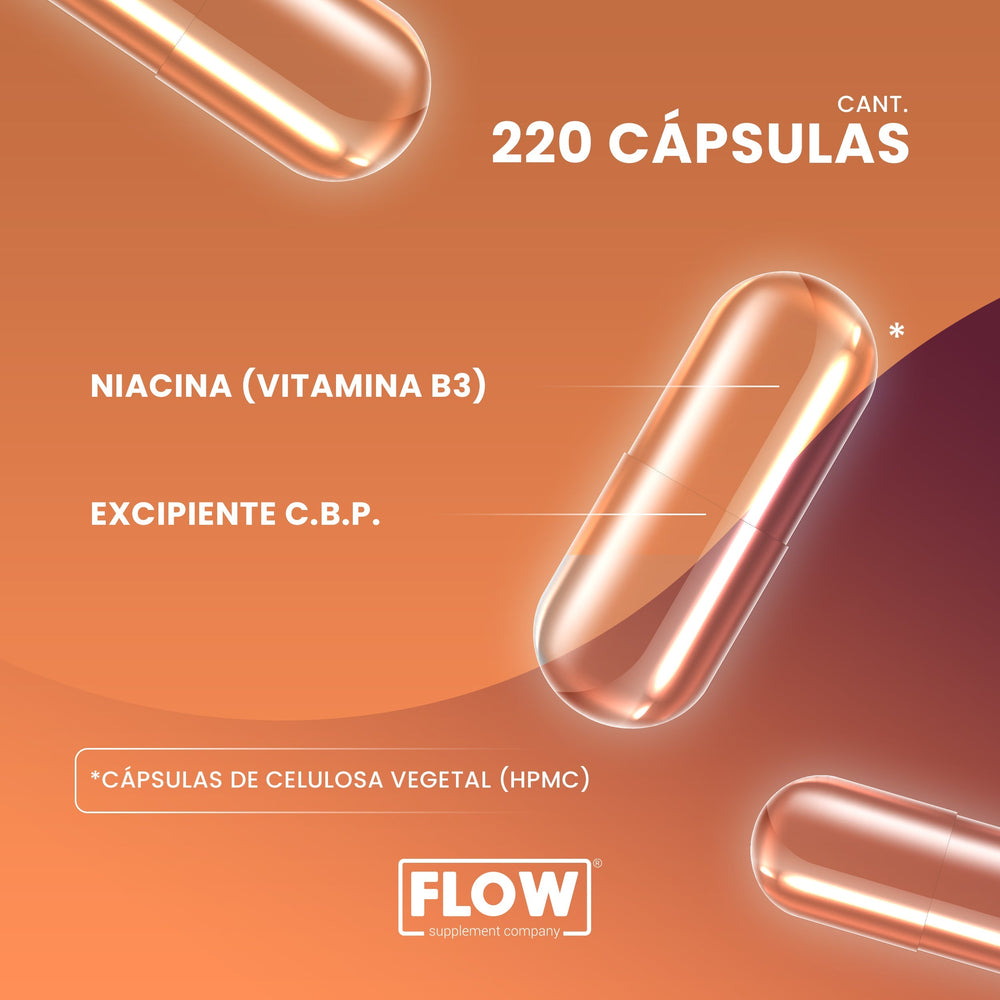 Niacina (Vitamina B3) | 220 cápsulas