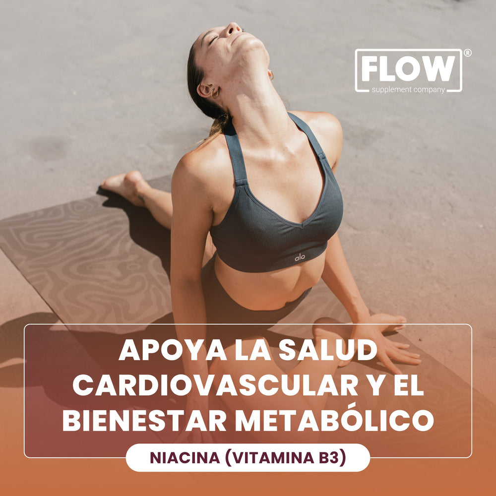 Niacina (Vitamina B3) | 220 cápsulas