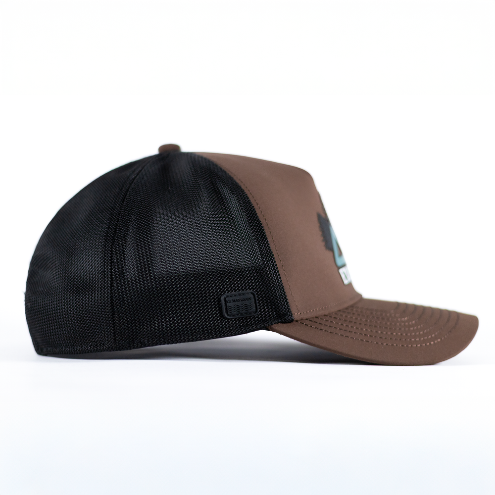 Adventure Brown