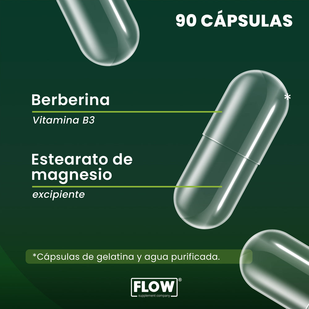 Berberina / 90 cápsulas de 500 mg c/u