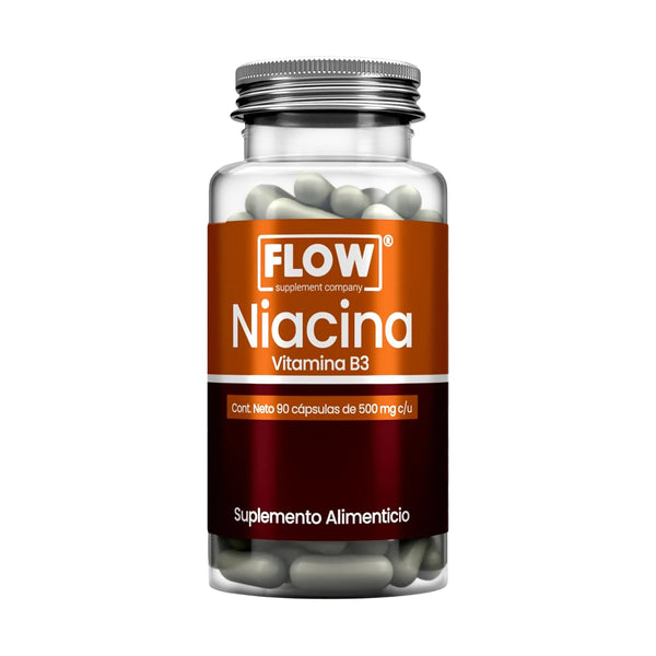 Niacina (Vitamina B3) / 90 cápsulas de 500 mg c/u